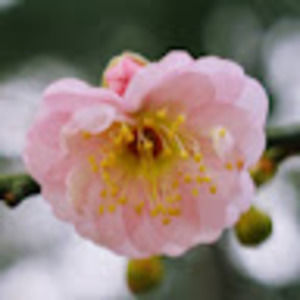 Meet your Posher, Kaia